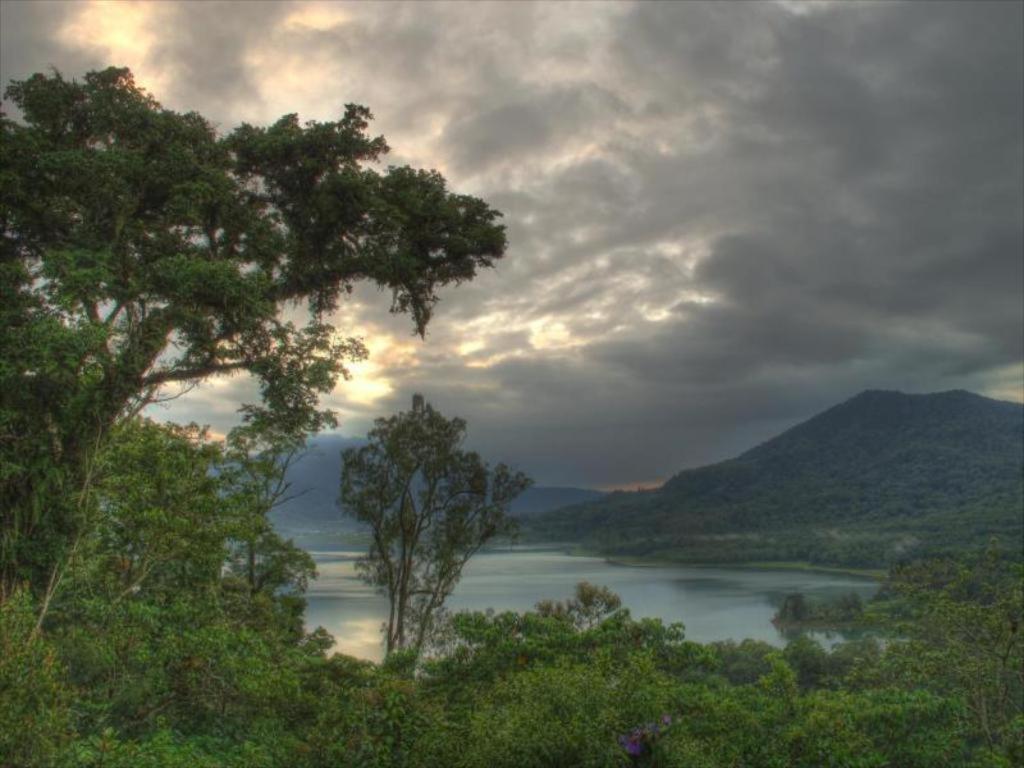 Bukit Kembar Ecotourism Otel Gitgit Dış mekan fotoğraf